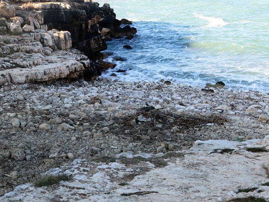 Spiaggia Ponte dei Lapilli